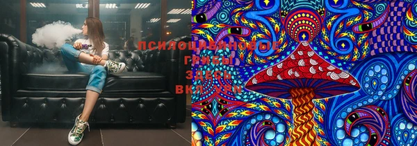 гидра Весьегонск